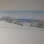 34m² 4 Pers - Animaux Acceptes - Dame De Monts - Fr-1-540-238