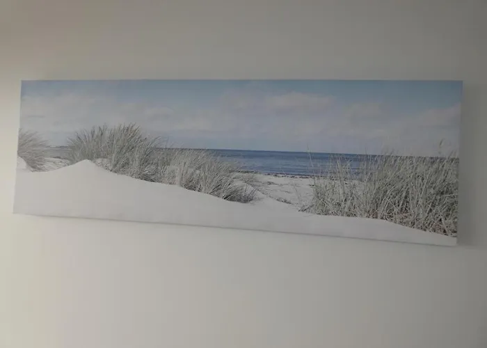 Appartement 34M² 4 Pers - Animaux Acceptes - Notre Dame De Monts - Fr-1-540-238